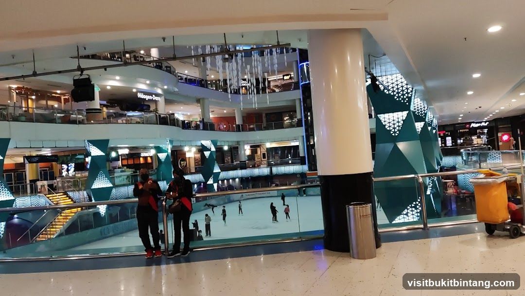Ice skating rink in a mall