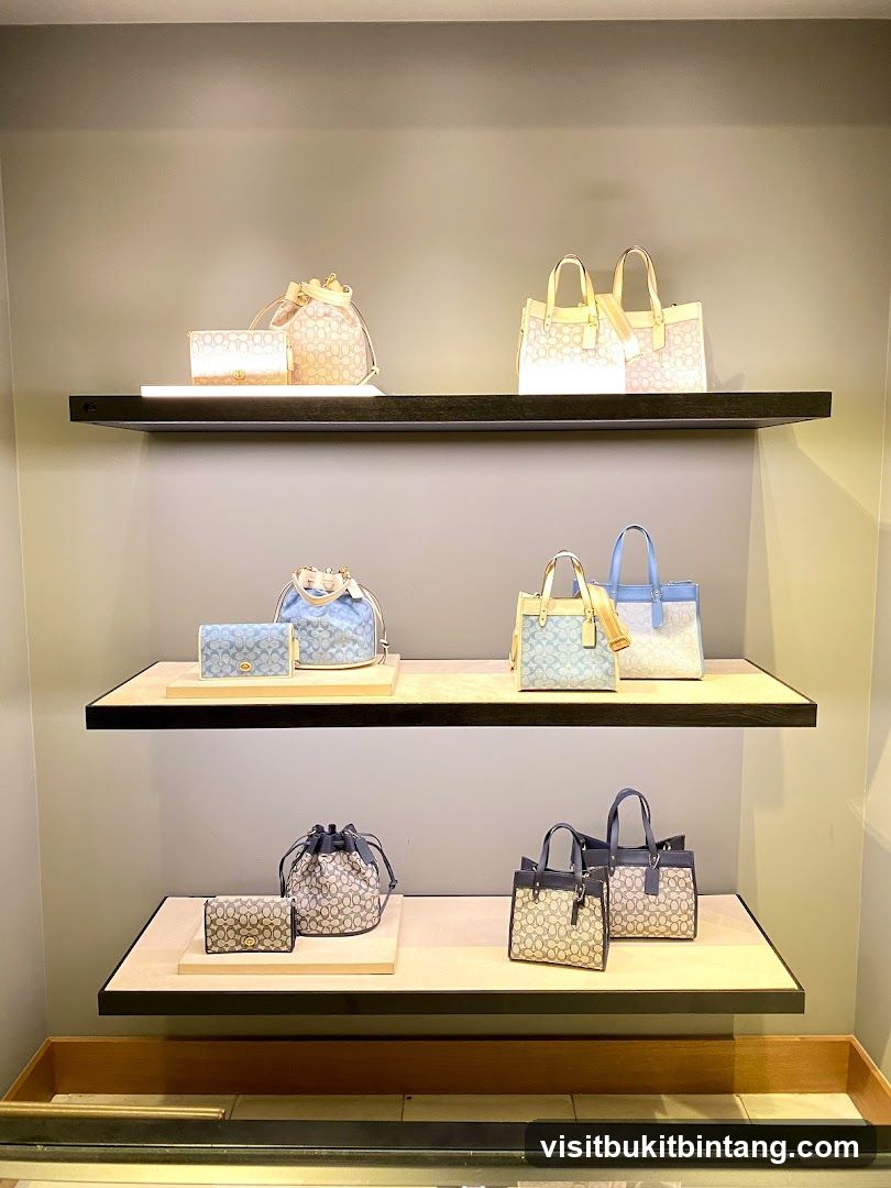 Coach Handbags Display
