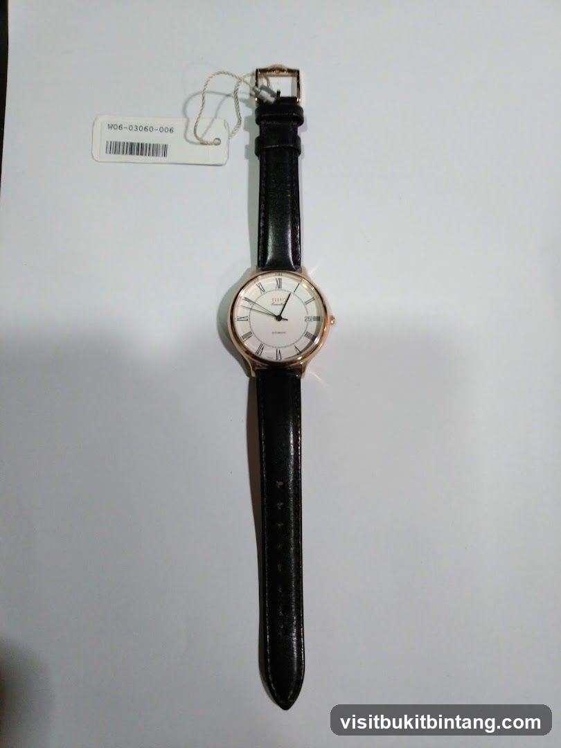 Titan Automatic Watch