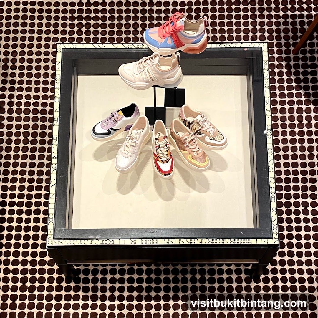 Coach Sneakers Display