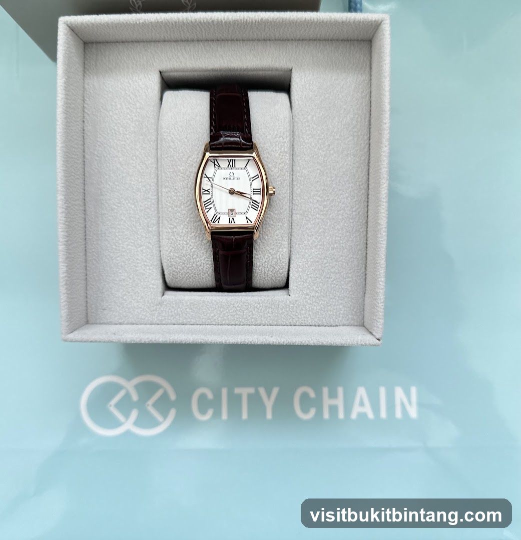 Watch in a box