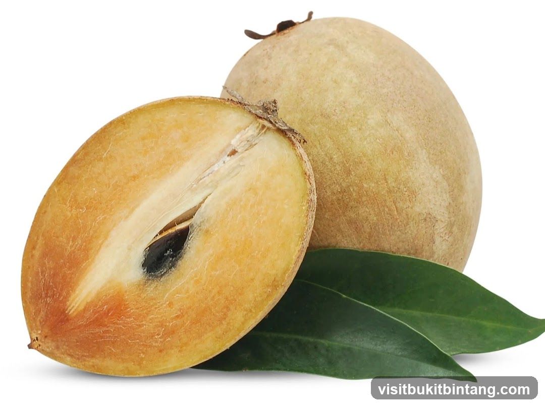 Sapodilla Fruit