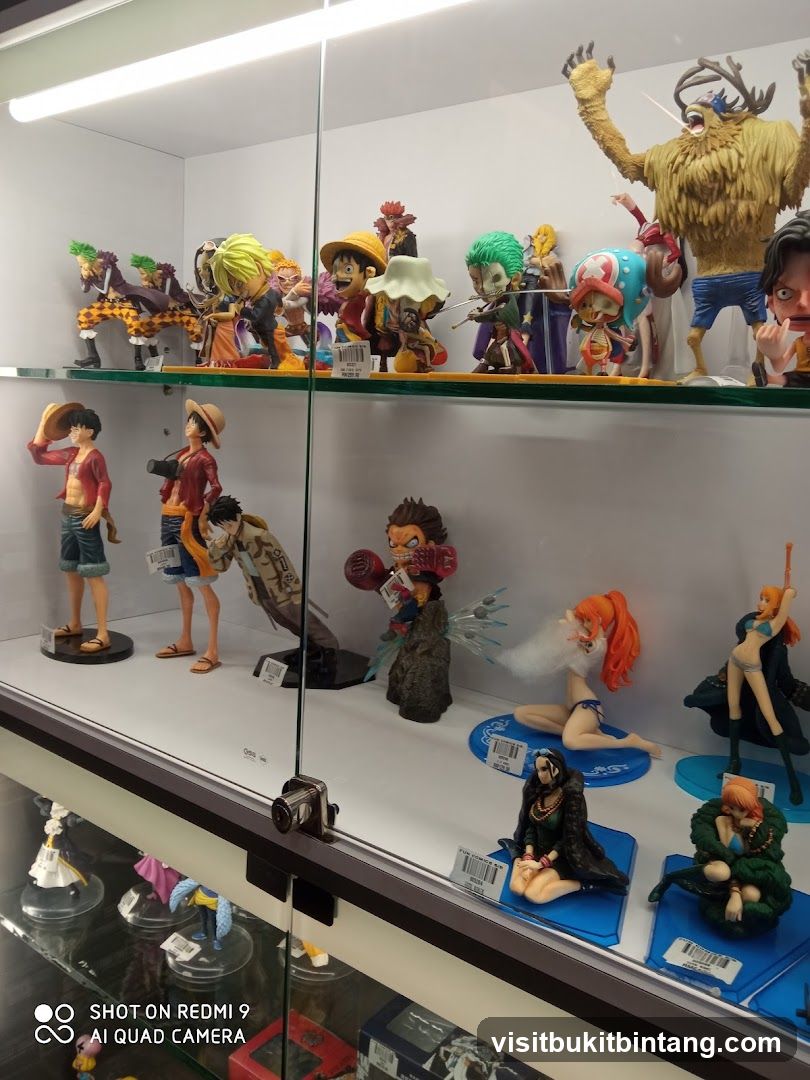Display of Anime Figurines