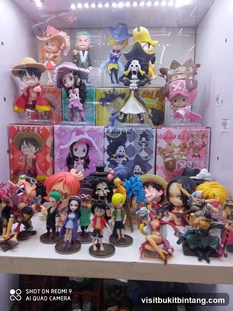 Anime Figurines Display