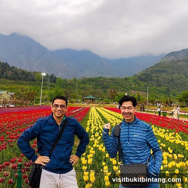 Two men posing in a field of tulips