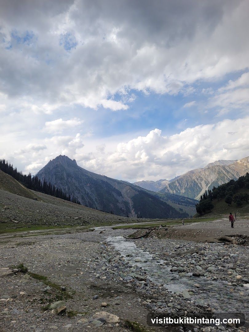 Mountain Landscape with Stream