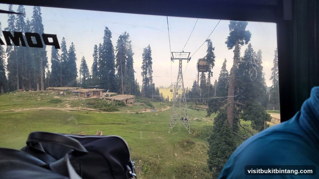 Gondola Ride Through Forested Hills