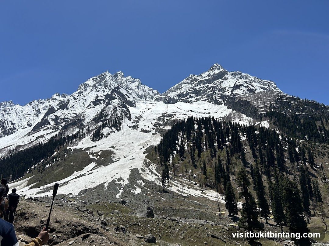 Snow-capped mountains and pine forest