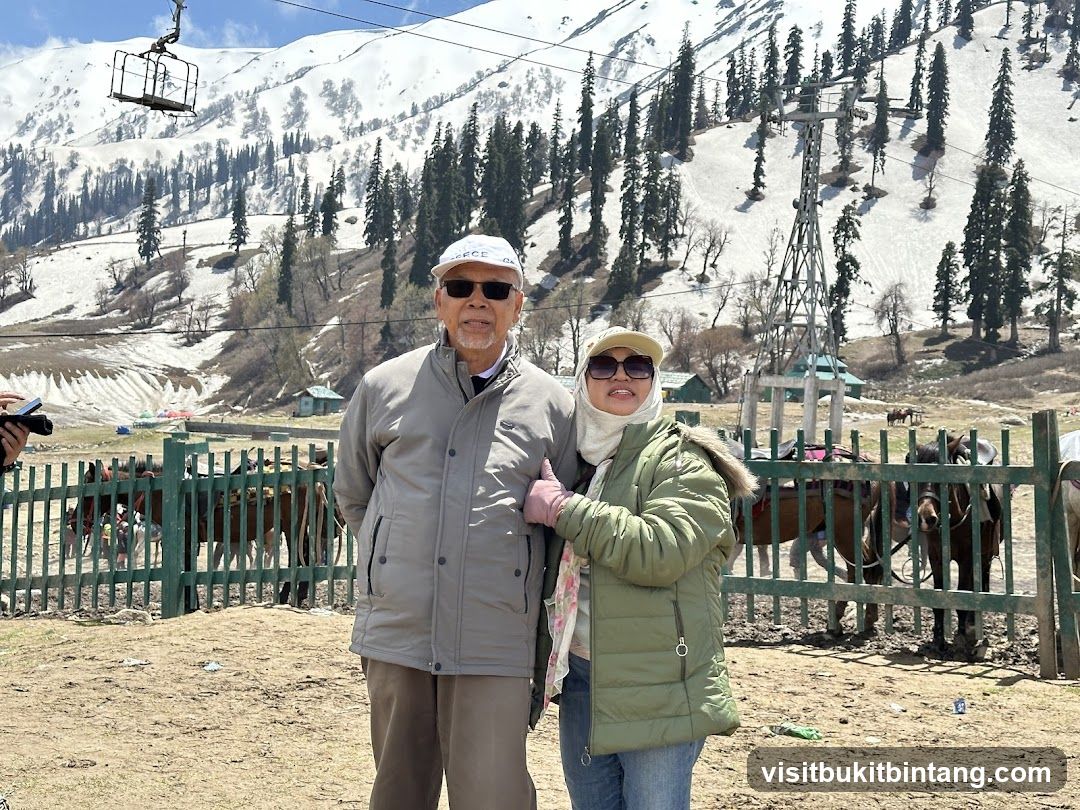 Couple posing with horses and snowy mountains