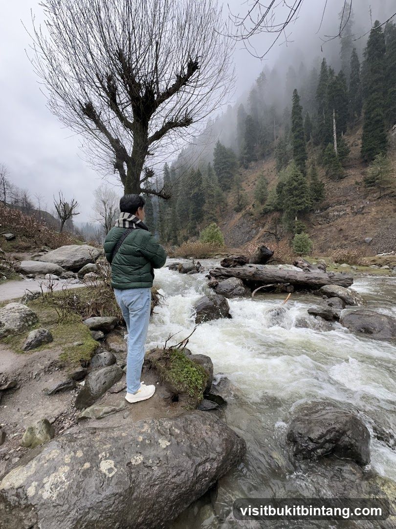 Person by a River in a Misty Forest