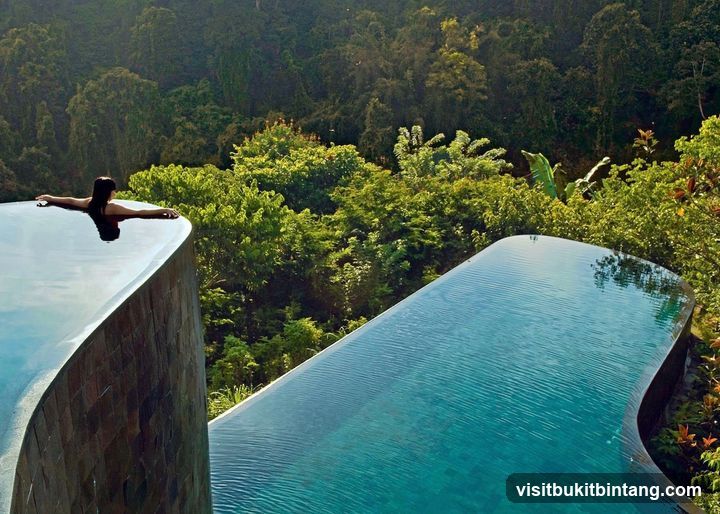 Infinity Pool Overlooking Lush Forest