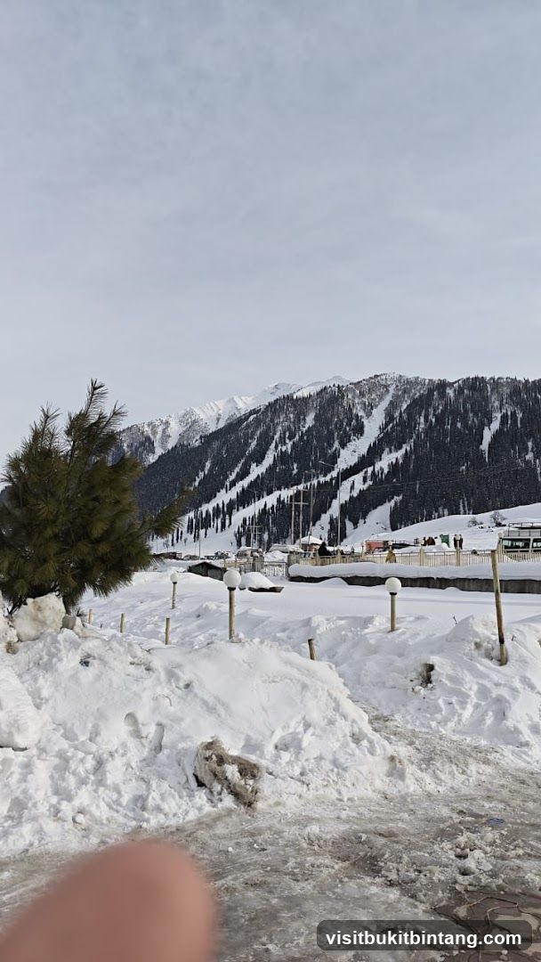 Snowy Mountain Landscape with Trees and Buildings