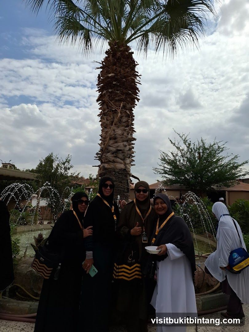 Group of women posing under a palm tree