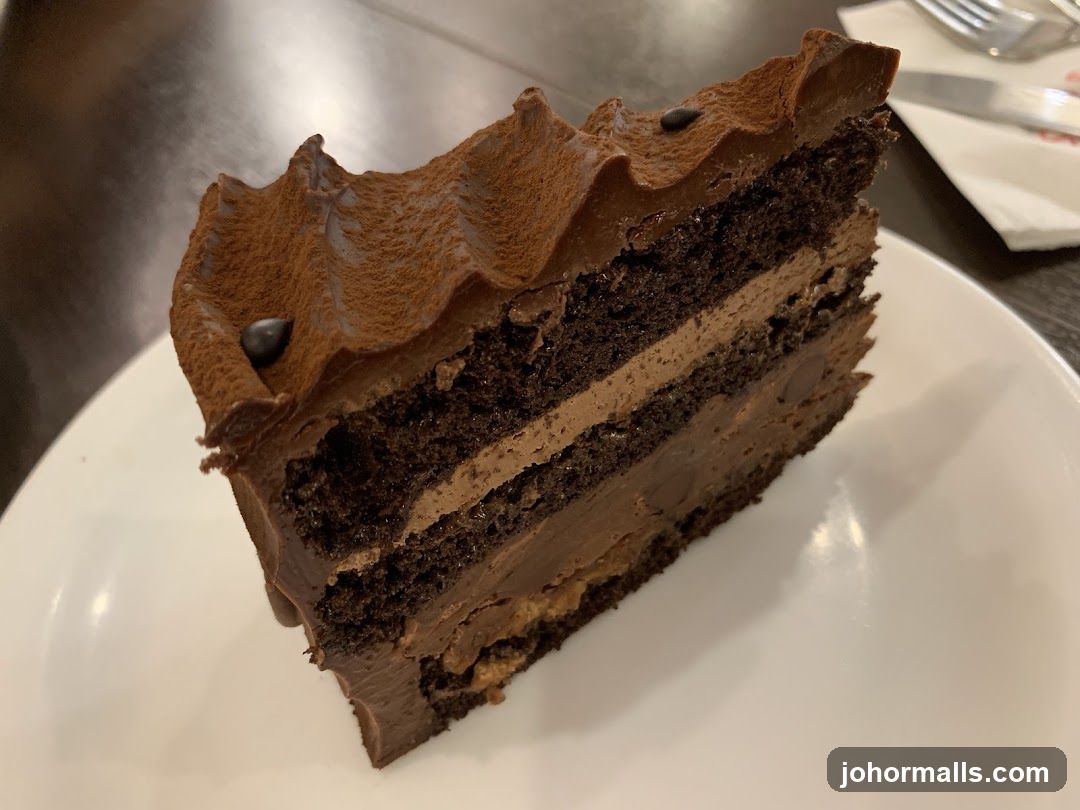 Chocolate Cake Slice