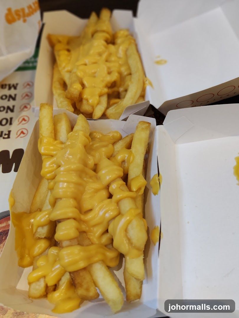 Cheese Fries