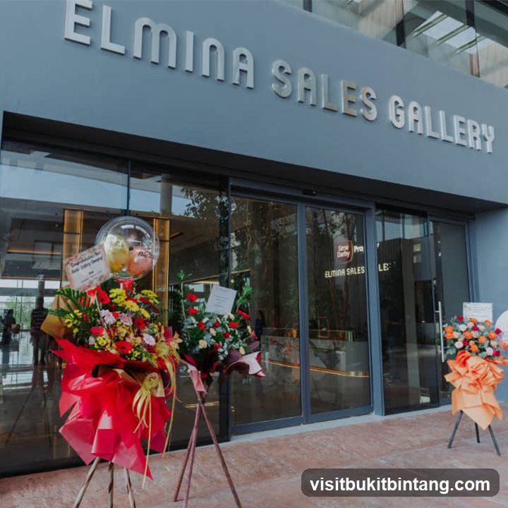 Elmina Sales Gallery