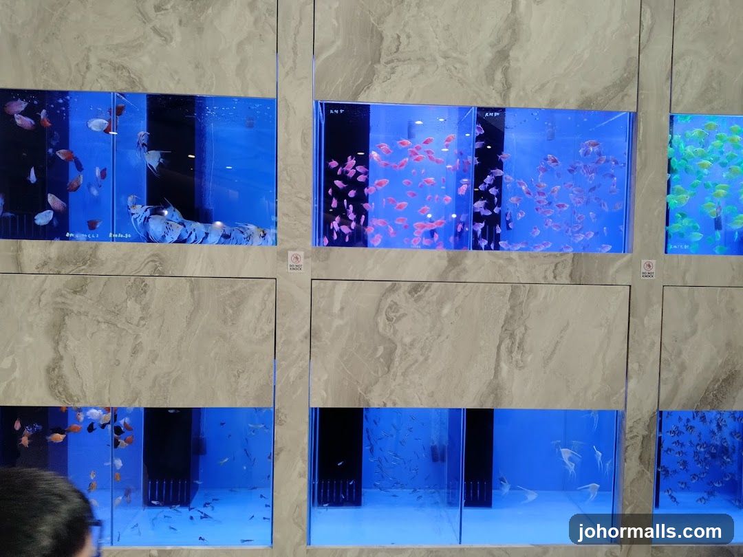 Fish Tanks