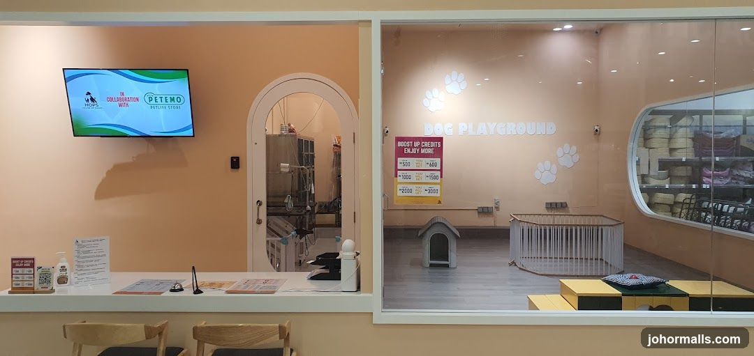 Pet Store Interior