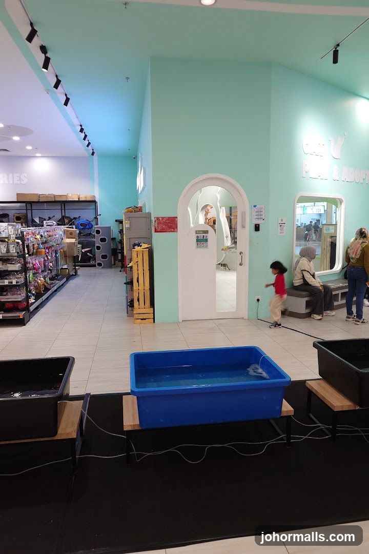 Pet Store Interior with Adoption Area