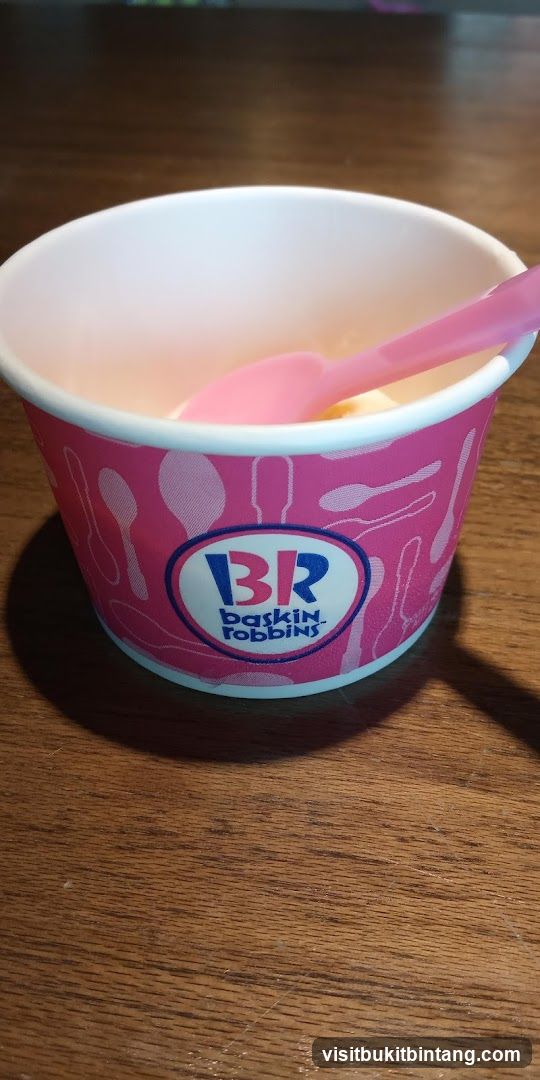 Baskin Robbins Ice Cream Cup