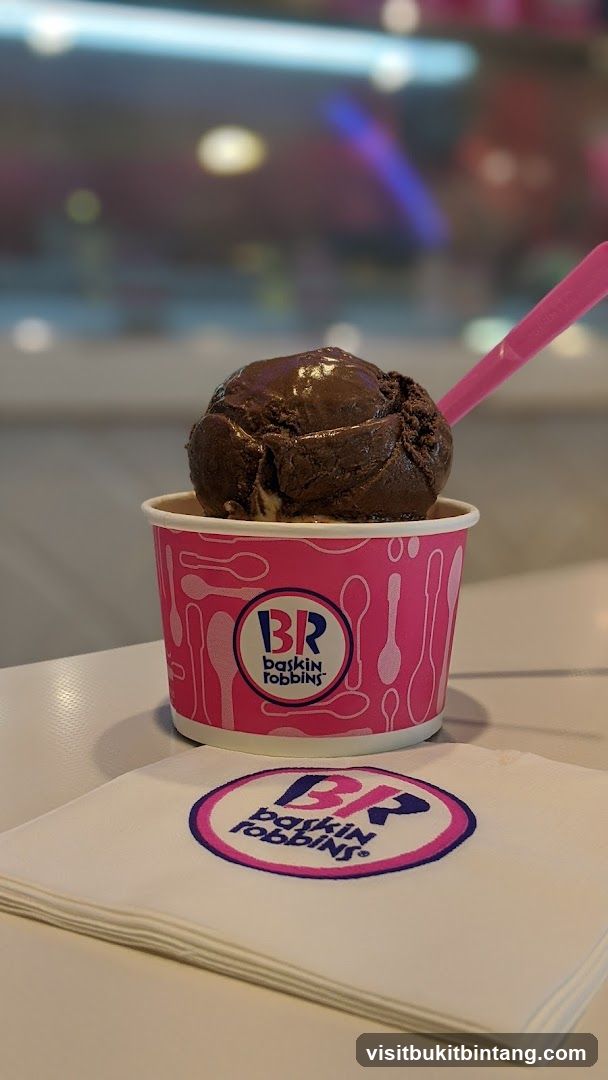 Chocolate Ice Cream Cup