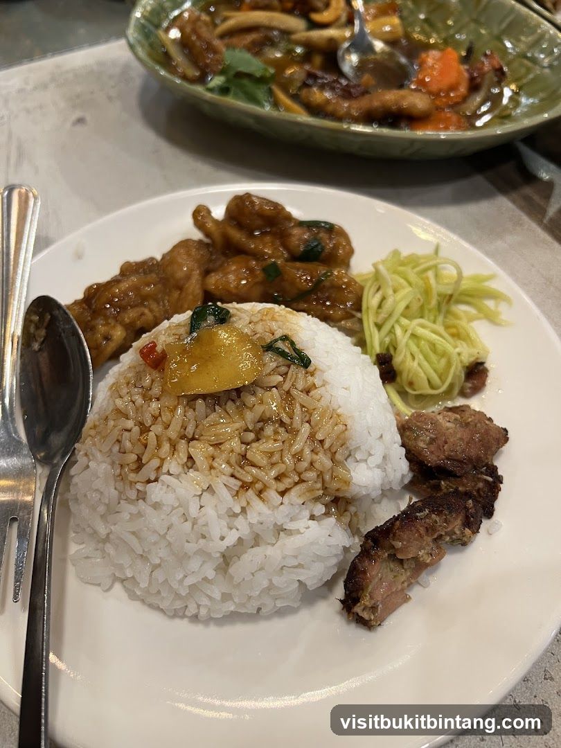 Plate of food with rice and meat