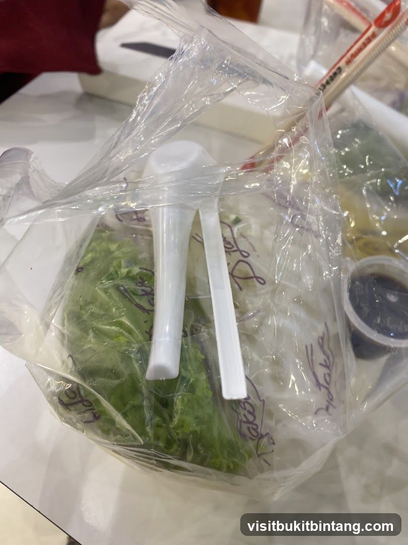 Takeaway Food Bag