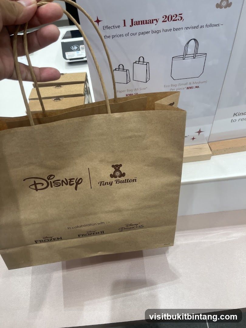 Disney and Tiny Button Paper Bag