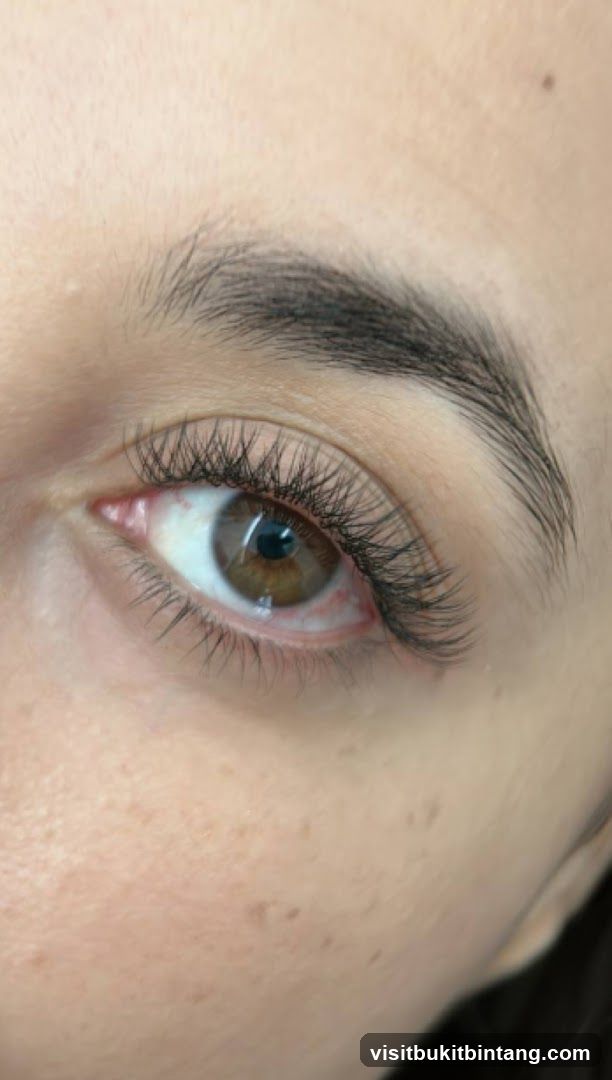The Hair TRIC and Lashility Setia City Mall (Best hair salon in Shah Alam)