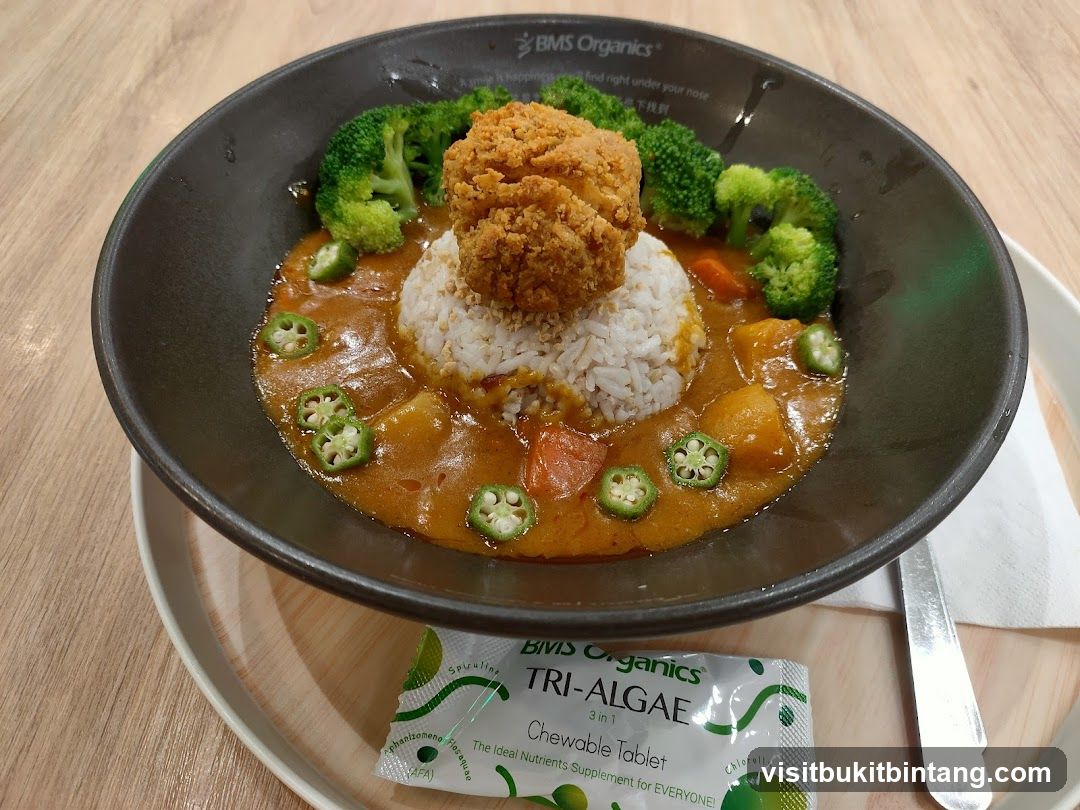 Curry with Rice and Fried Chicken