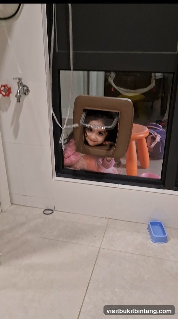 Child looking through a pet door