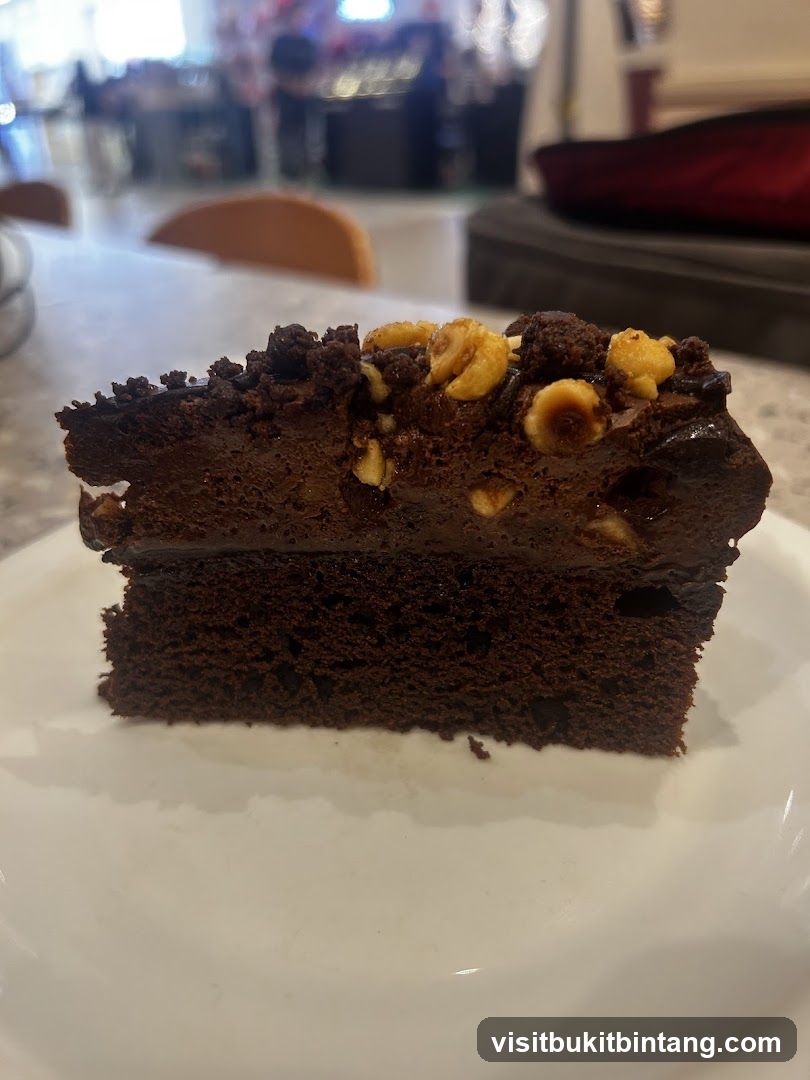 Chocolate Cake Slice