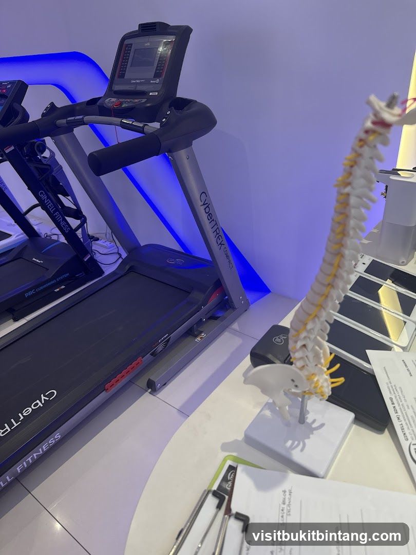 Treadmills and Anatomical Model