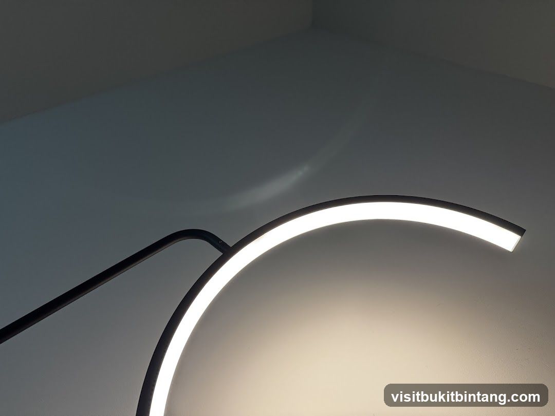 Modern Lamp with Curved Light