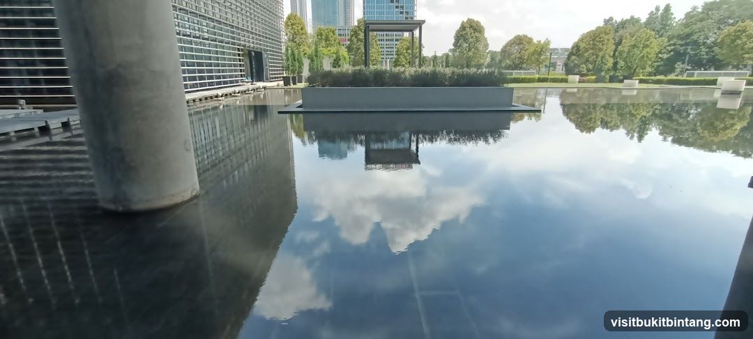 Reflections in a Water Feature