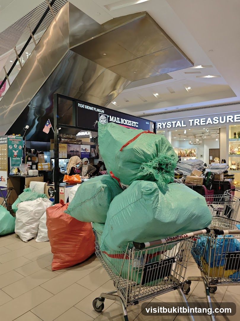 Bags of items in a shopping cart