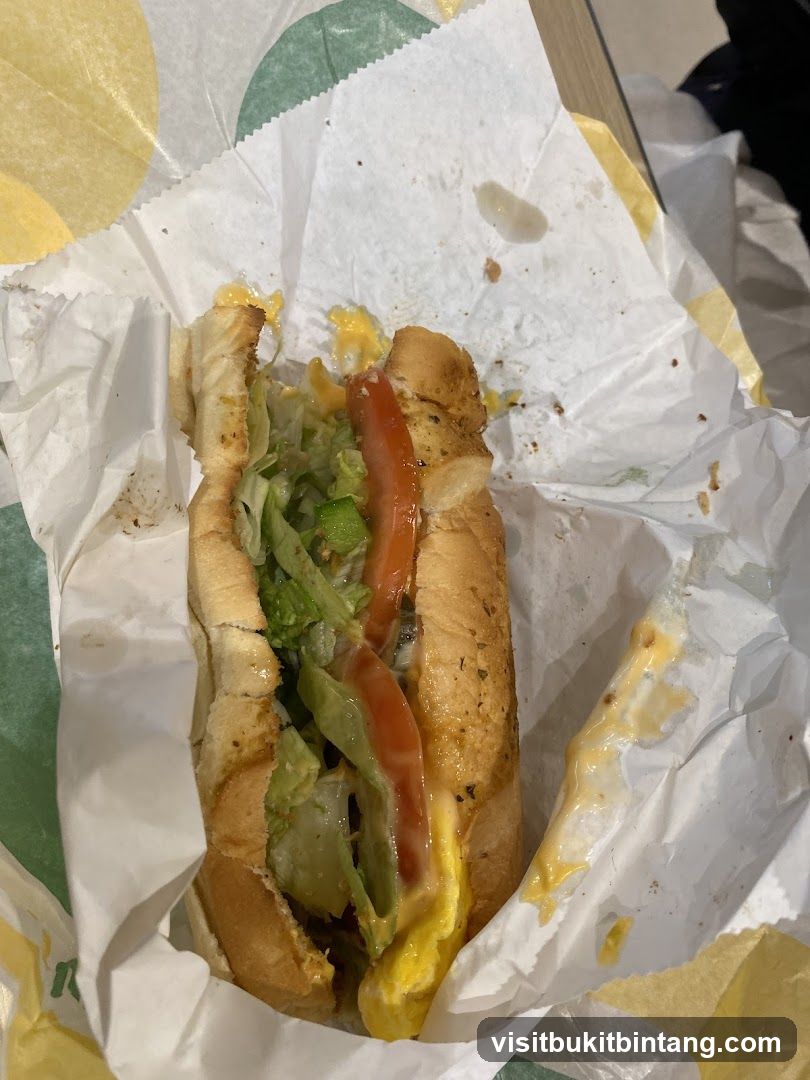 Sub Sandwich