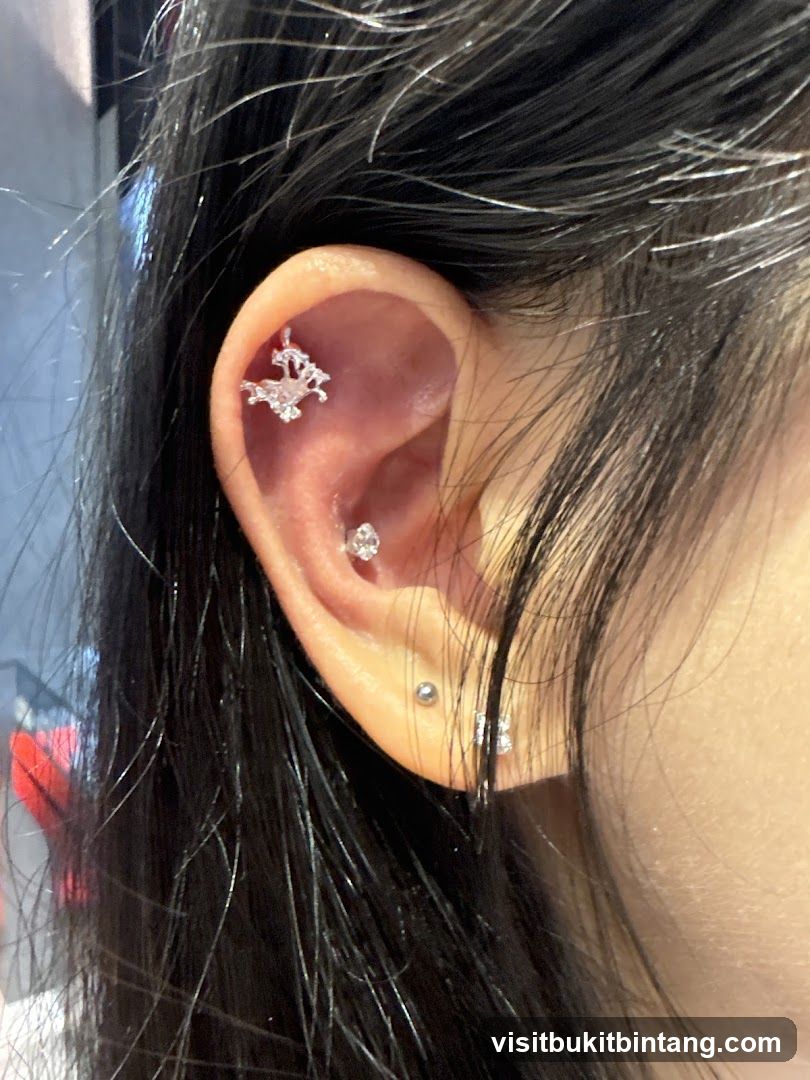 Ear Piercings