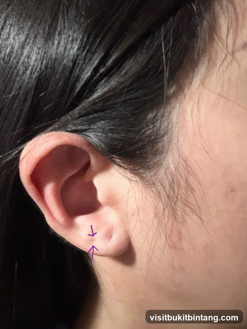 Ear with purple arrows
