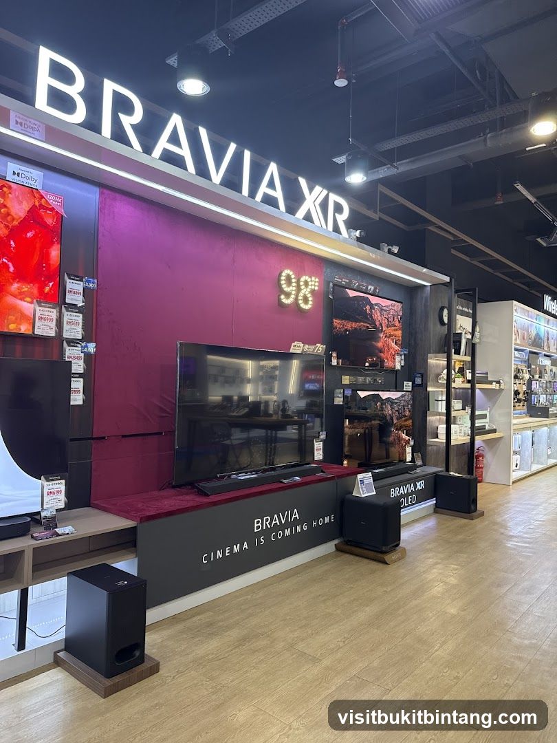 Sony Bravia XR TV Display