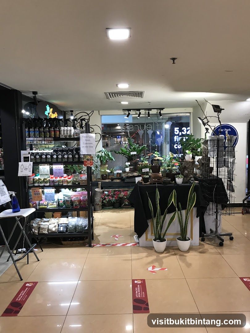 Indoor Plant Shop Display