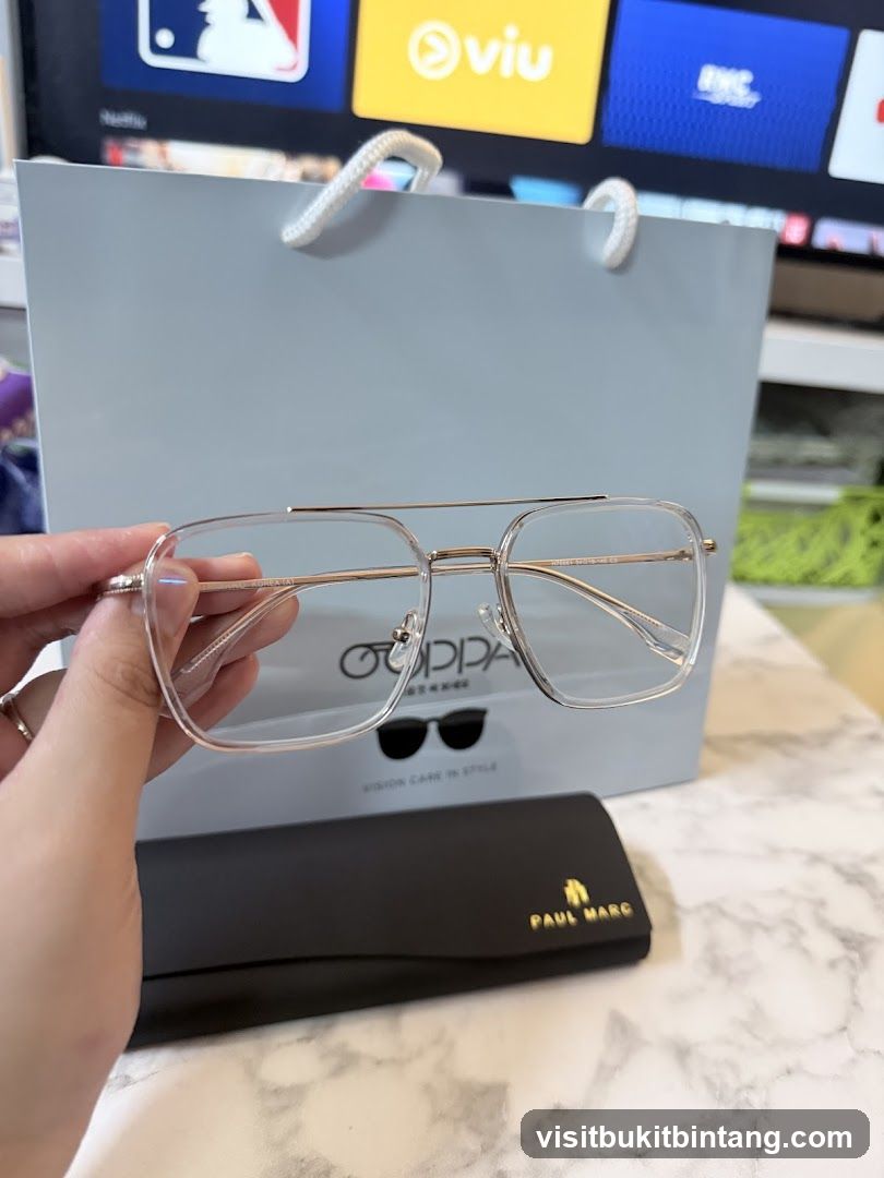 Eyeglasses and Case