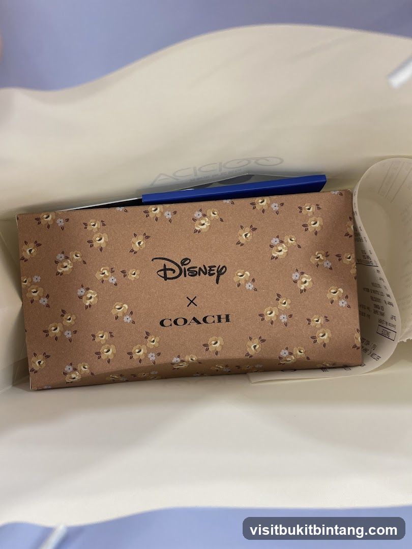 Disney x Coach Box