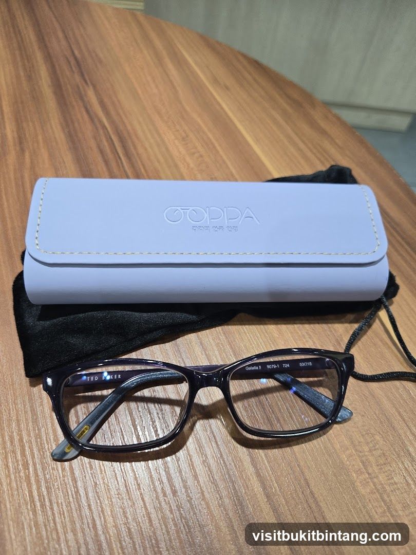 Eyeglasses and Case