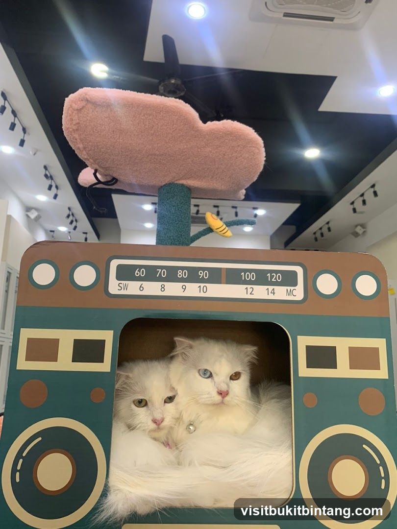 Cat Condo