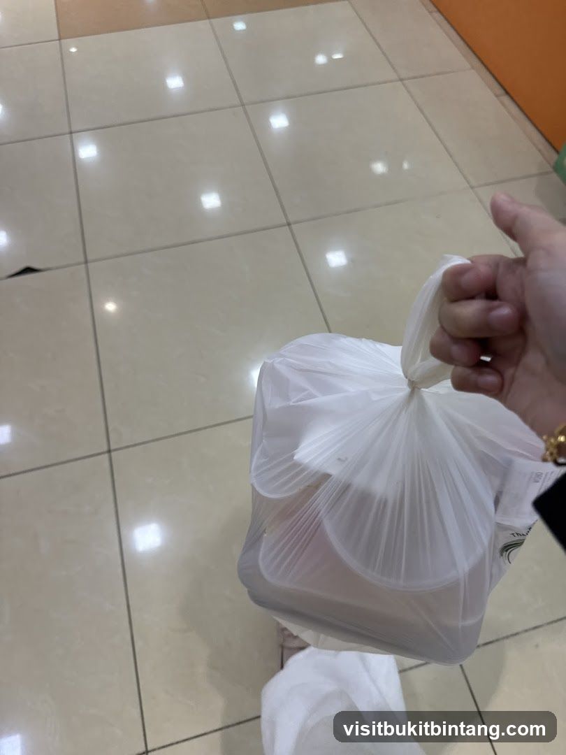 Takeout Bag
