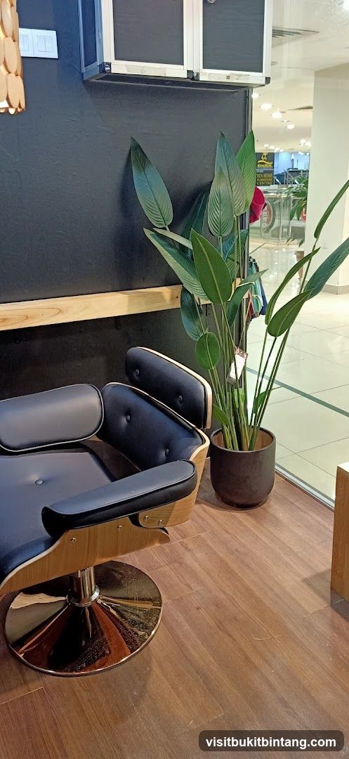 Salon Interior with Chair and Plant