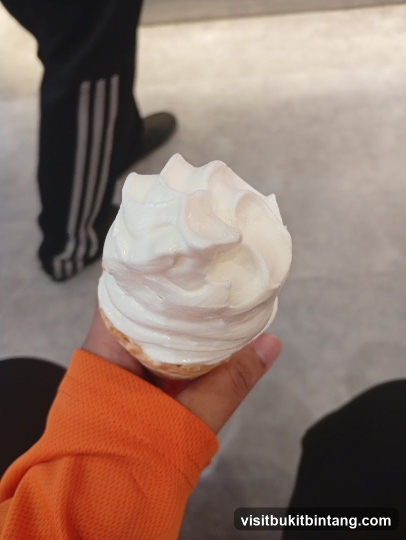 Ice Cream Cone