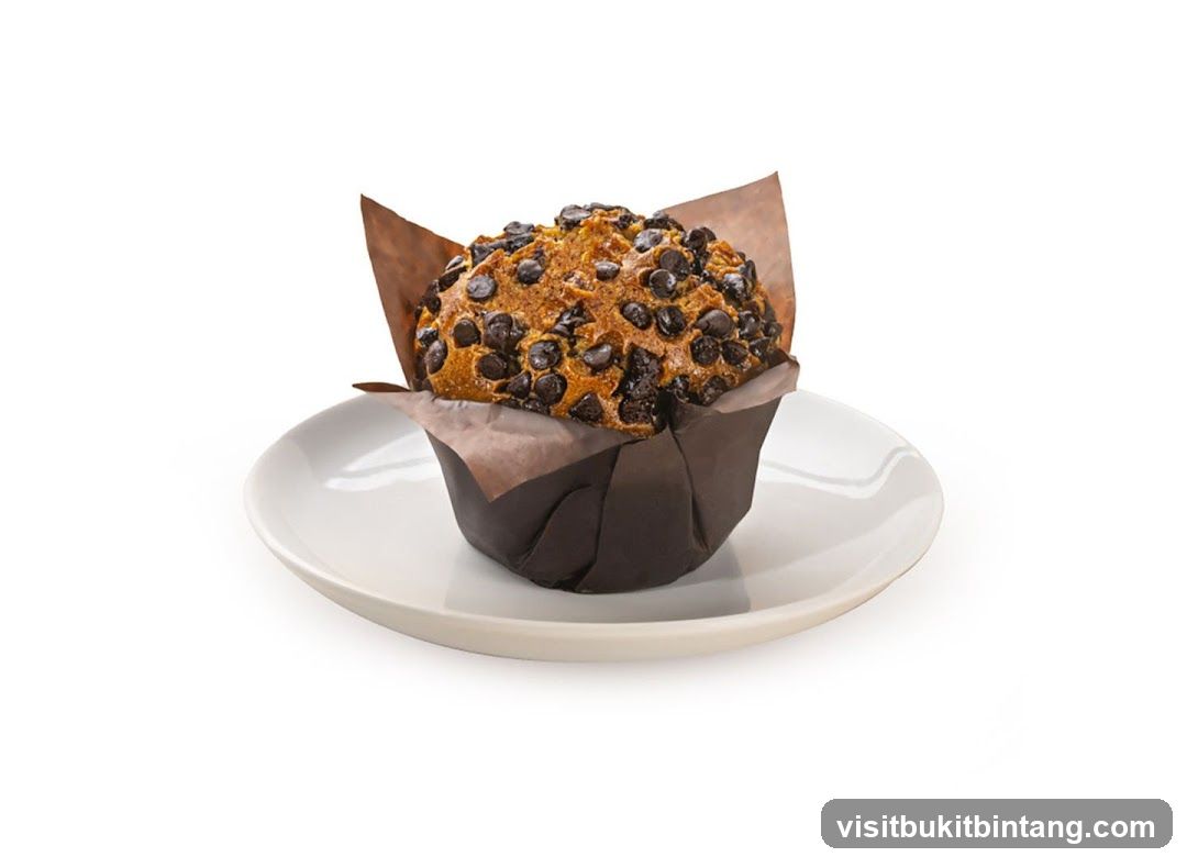 Chocolate Chip Muffin