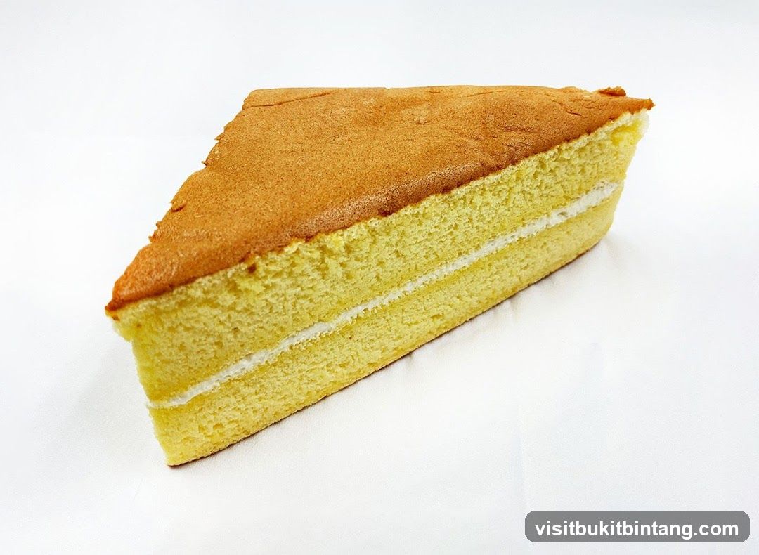 Slice of Cake